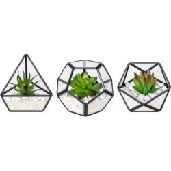 New Project (15) (1)